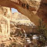 Capital Reef National Park - Utah 